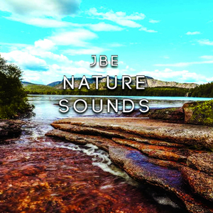 Calmity & Night Rain