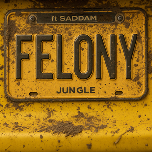 Felony