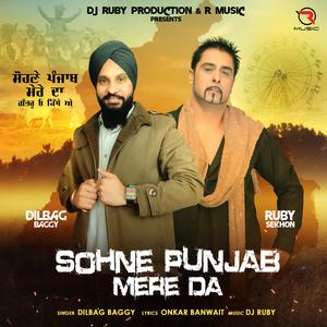 Sohne Punjab Mere Da (feat. DIlbag Baggy)