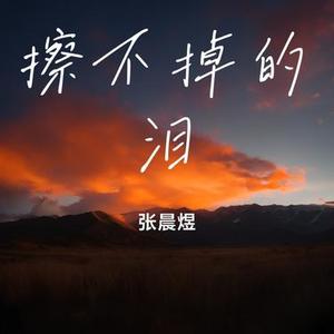 擦不掉的泪 (Cover 吴俊佑 & 庄淇玟29)