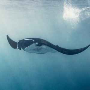 背景音-即兴创作_MP3（PXfable remix）