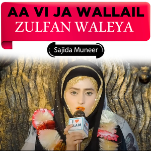Aa Vi Ja Wallail Zulfan Waleya