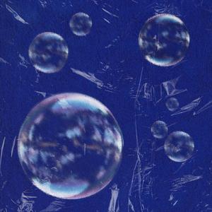 像鸟飞往你的山