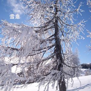 再后来 (排箫曲)