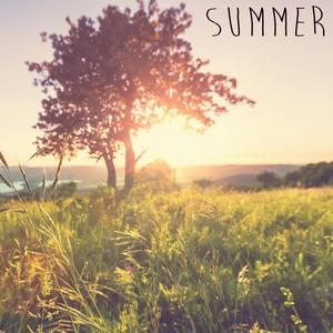 Summer Rains Arrive 13