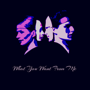 What You Want From Me