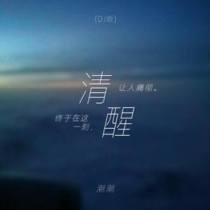 清醒（DJ版）