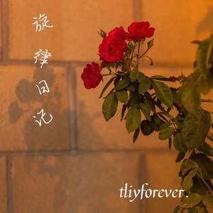 旋律日记(Prod By  ATTBeat)