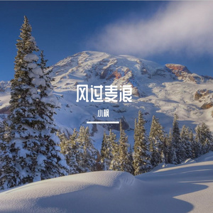 枫叶里的秘密情书