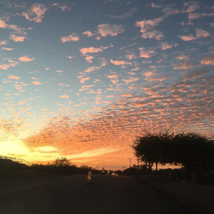 Windy Night in Phoenix