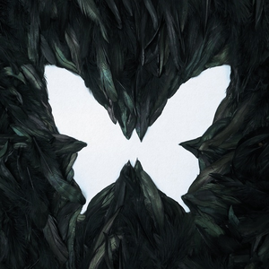 Drug=love (PROD. GXXD)