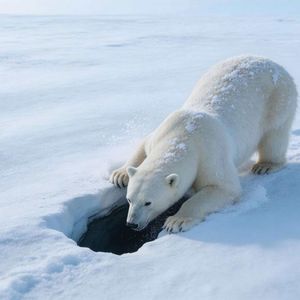 歌曲-《风在喊我》