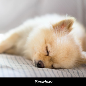 目を閉じる直前に思い出す今日のハイライトメドレー