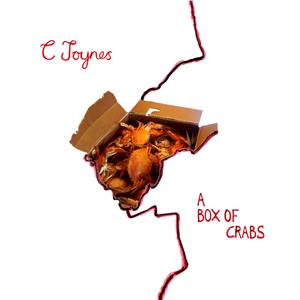 Mud Cichun (Dirty Mono Mix)