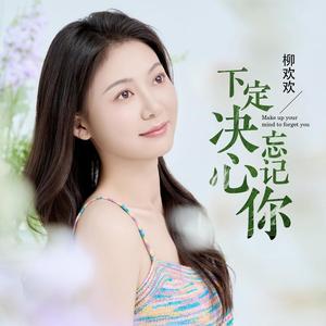 下定决心忘记你 (DJ彭锐版)