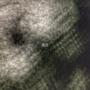 我想大约还是在冬季