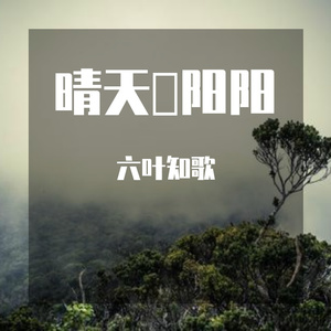 张万森纸飞机独白
