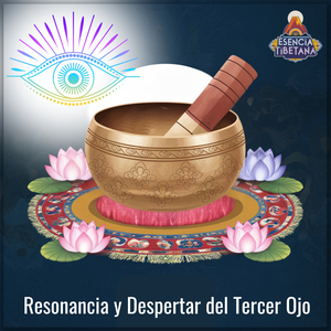 Transformación (Manipura)