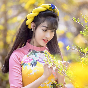 Tân Sự Nàng Xuân