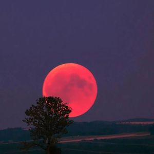 后会无期 -（ cover:徐良 汪苏泷）