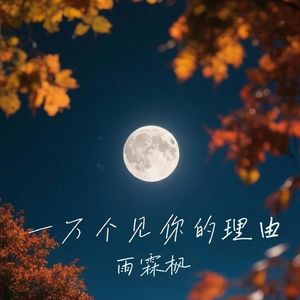 一万个见你的理由