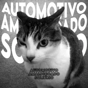 Automotivo Amaldiçoado Sombrio