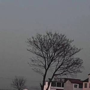 大雨滂沱