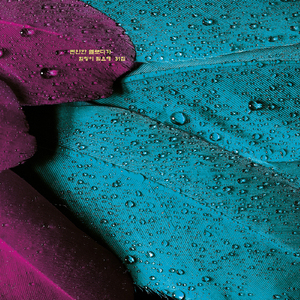 편안한 멜로디가