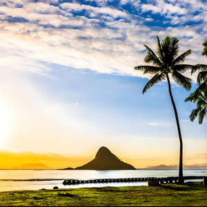 杨柳临清池-整曲 伴奏