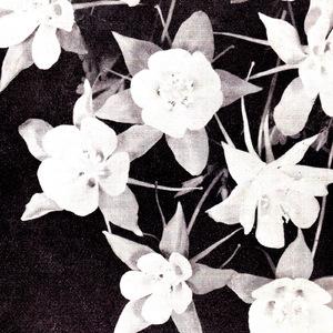 Lately (Original Mix)