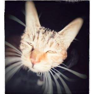 嫌累（prodby Gr33nart Beats）