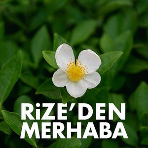 Rize'den Merhaba
