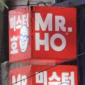 Mr. Ho