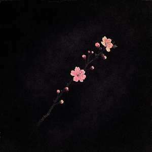 Momoiro Toiki (Instrumental)