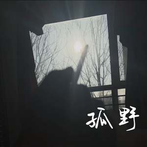 孤野