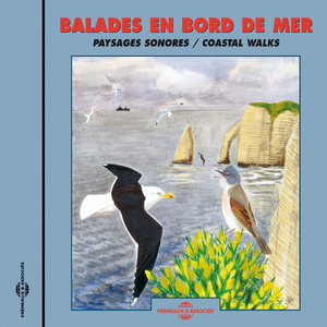 Cris de cormorans huppés