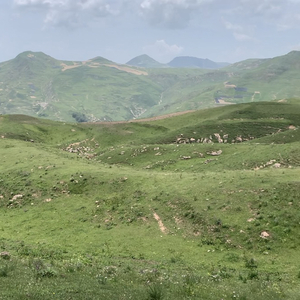 夏日海边浪漫邂逅