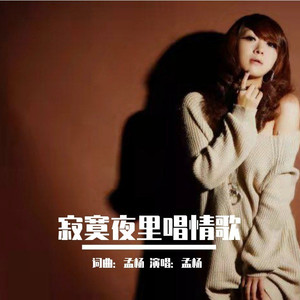 寂寞夜里唱情歌 (伴奏)
