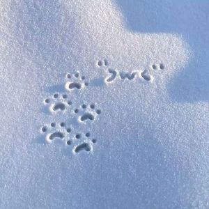 AI创作_改编 童年-成品