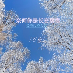奈何你是长安落雪