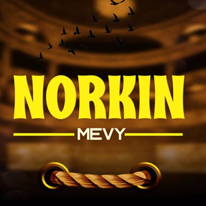 Norkin