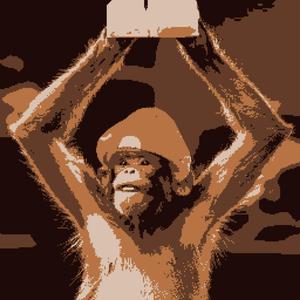 이해가쏙쏙되잖아리슝좍아