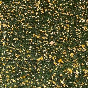 Girls Just Want to Have Fun