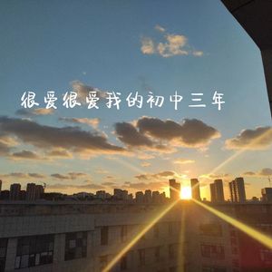 很爱很爱我的初中三年