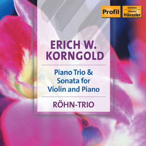 Violin Sonata in D Major, Op. 6:I. Ben moderato, ma con passione