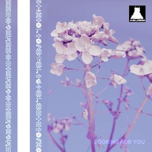 Looking For You
