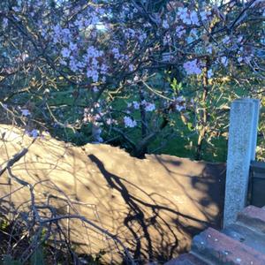 52 (feat. Archy Marshall)