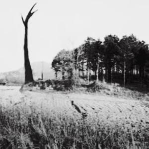 fangs (feat. sacreds, sxulz & zachmadethis)