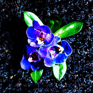 เราเคยรักกัน