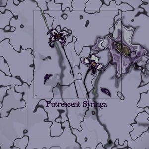Putrescent Syringa